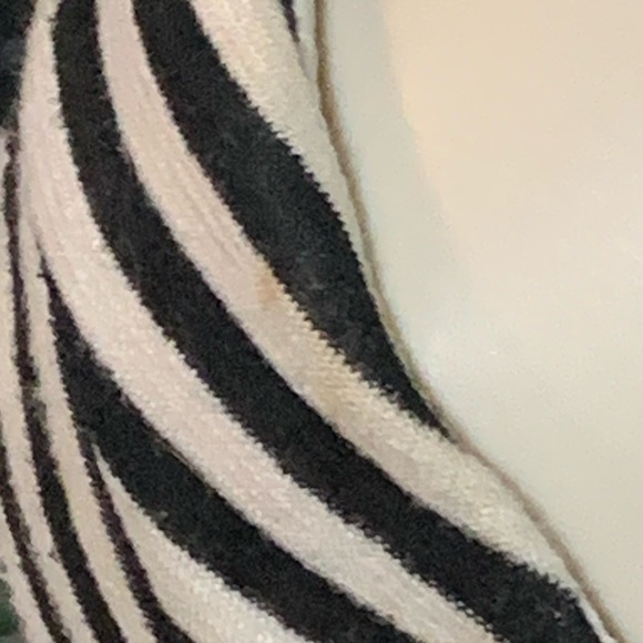 Beetleguese Striped Tim Burtony Zip Up Crop Tank - Picture 4 of 5